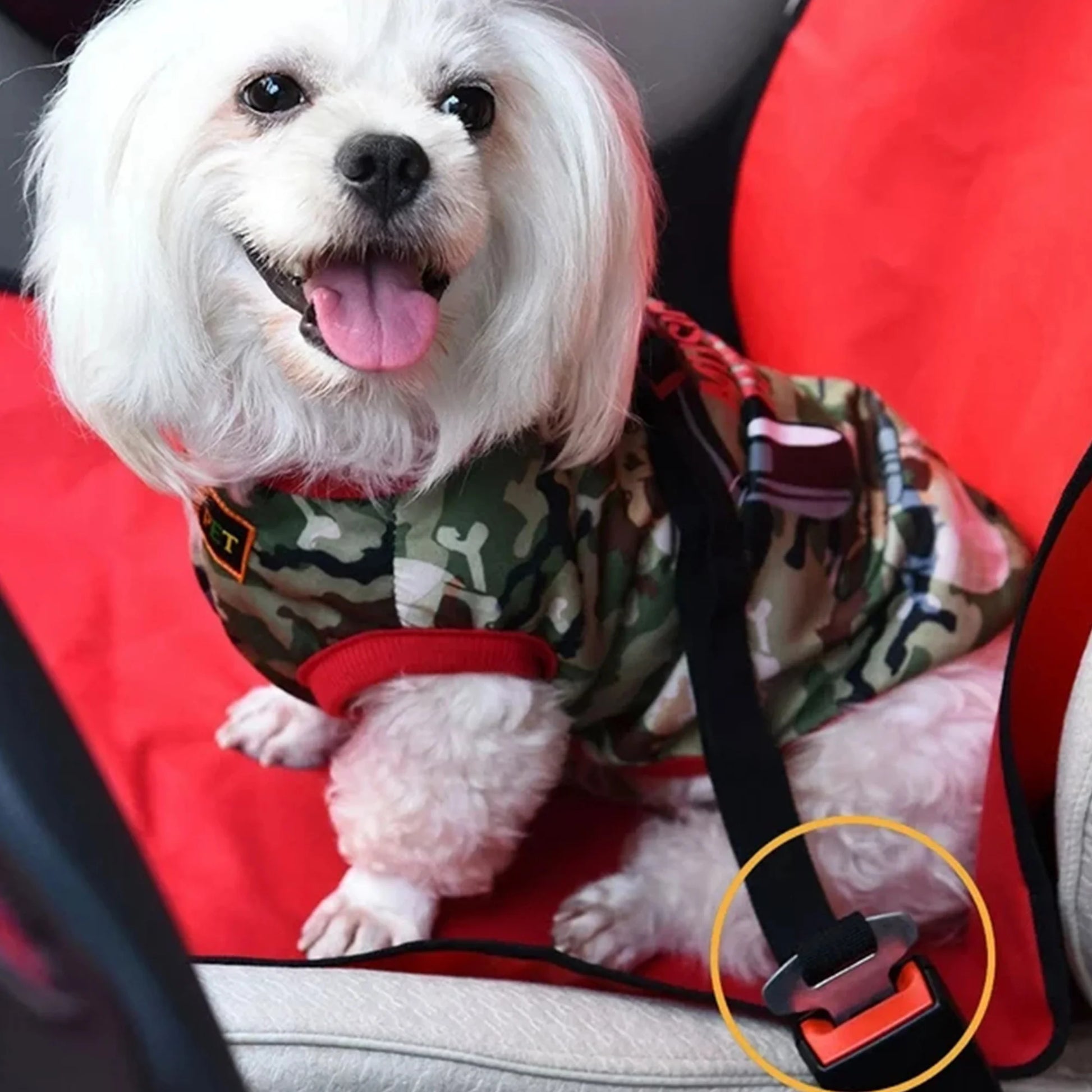 PawSecure: Adjustable Black Seatbelt & Lead Safety Kit