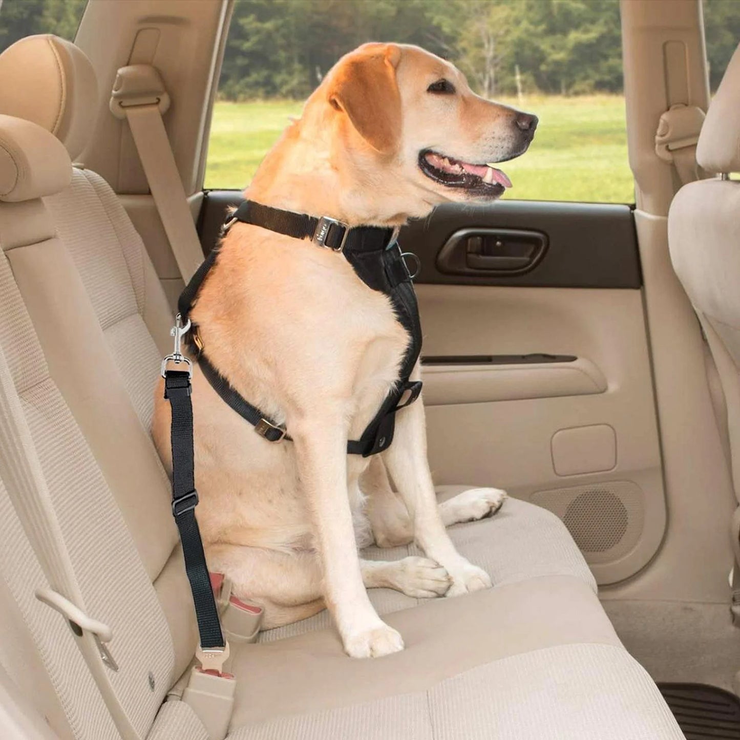 PawSecure: Adjustable Black Seatbelt & Lead Safety Kit